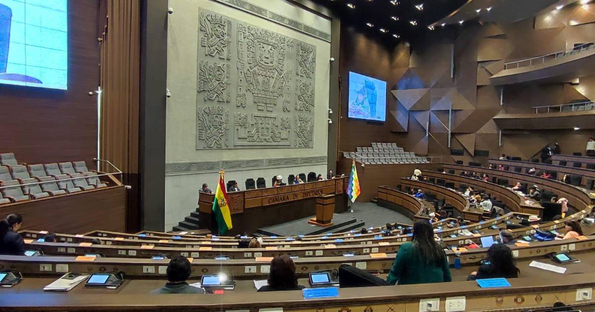 Diputados sesiona para tratar la adhesión de Bolivia al Mercosur en ...