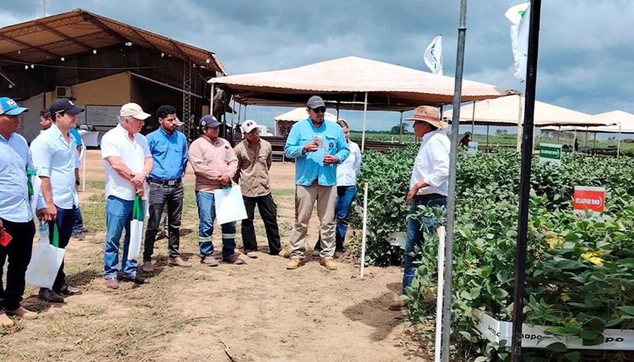 Debido a factores climatológicos, postergan la Exposoya 2026 para marzo