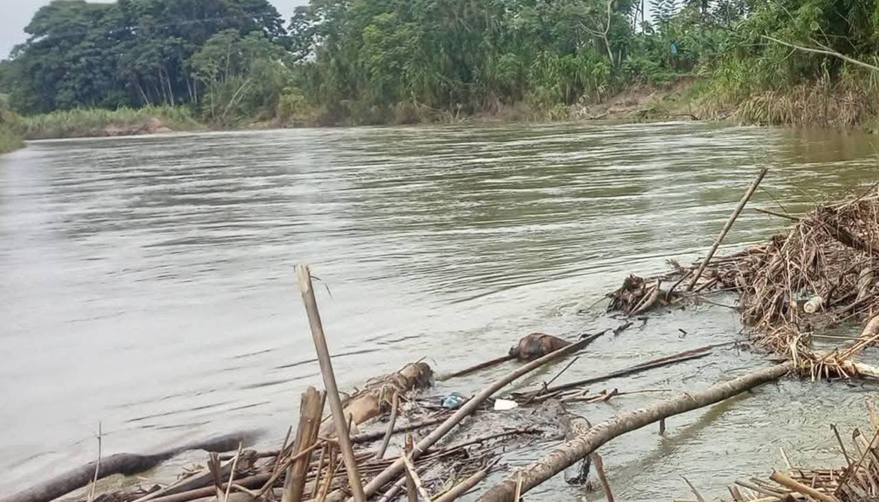 Encuentran sin vida a uno de los dos adolescentes desaparecidos en un río del trópico