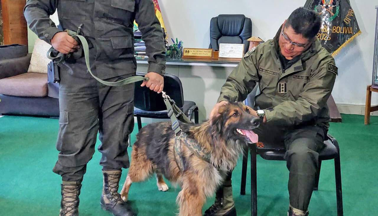 Rex, “el perrito desbloqueador” será ascendido a sargento de Policía y recibe entrenamiento