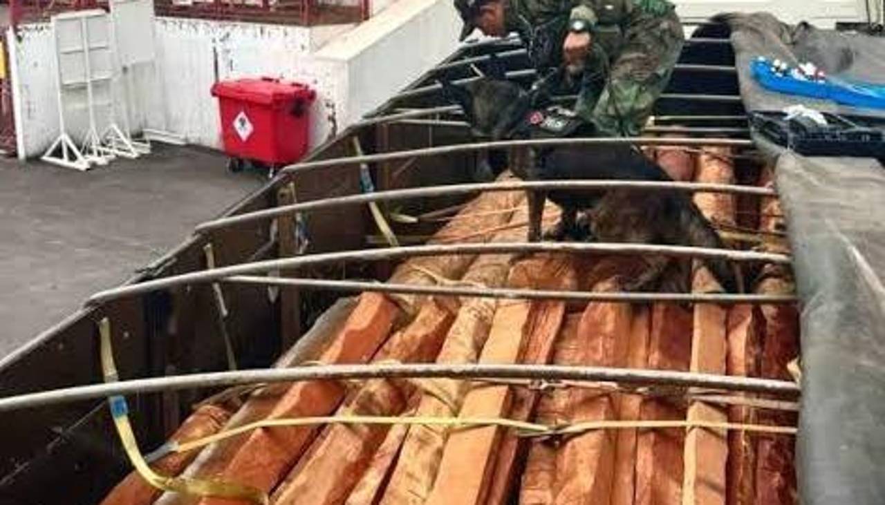 Fiscalía anuncia el cierre de procesos contra exportadoras en el caso maderas: “Resultados han sido negativos al narco-test”