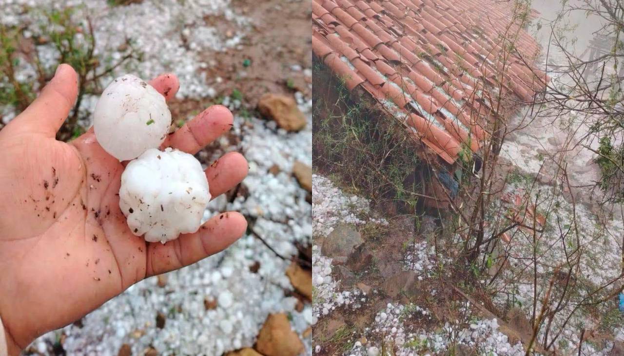 Granizada daña cultivos y deja animales muertos en al menos tres comunidades de Chuquisaca 