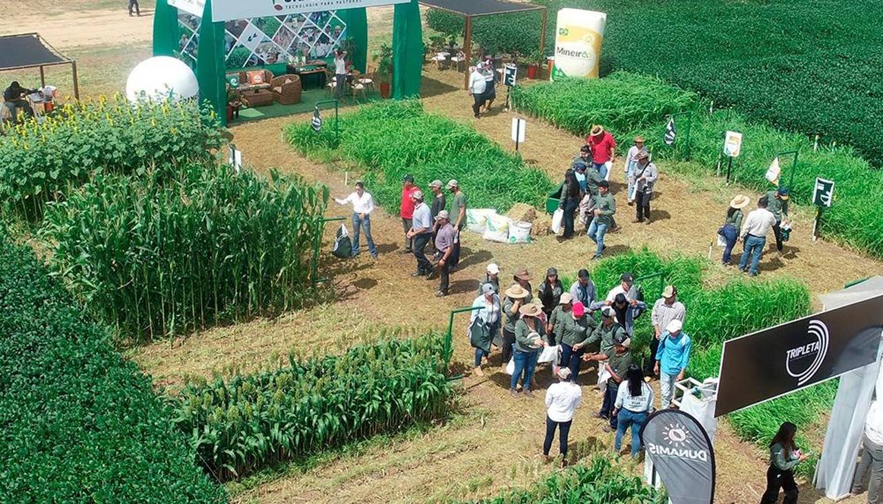 Este jueves arranca la Exposoya y anuncian nuevas variedades de soya y de otros cultivos en exposición