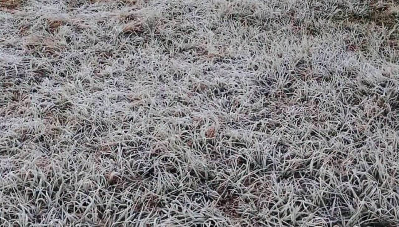 Reportan helada en los valles cruceños y productores verifican si hay daño a los cultivos