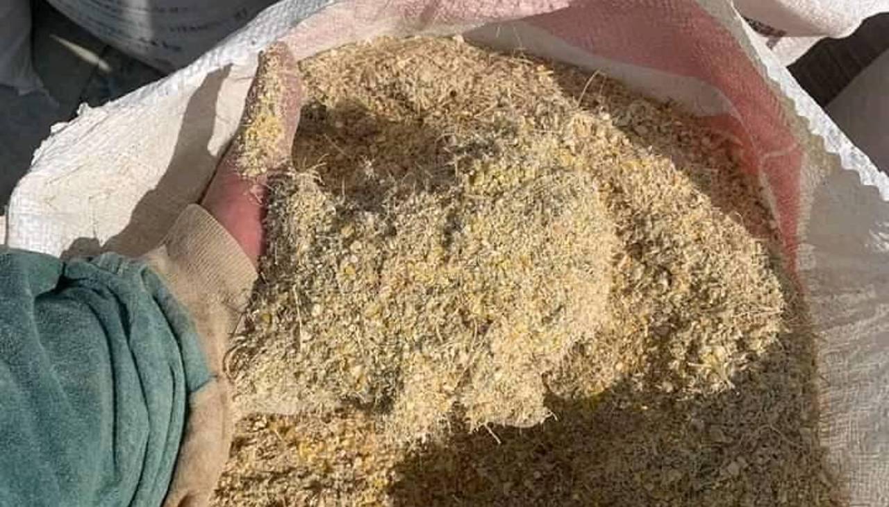 Sube hasta un 30% el costo de la cascarilla de soya y afecta la producción de pollo, huevo y leche