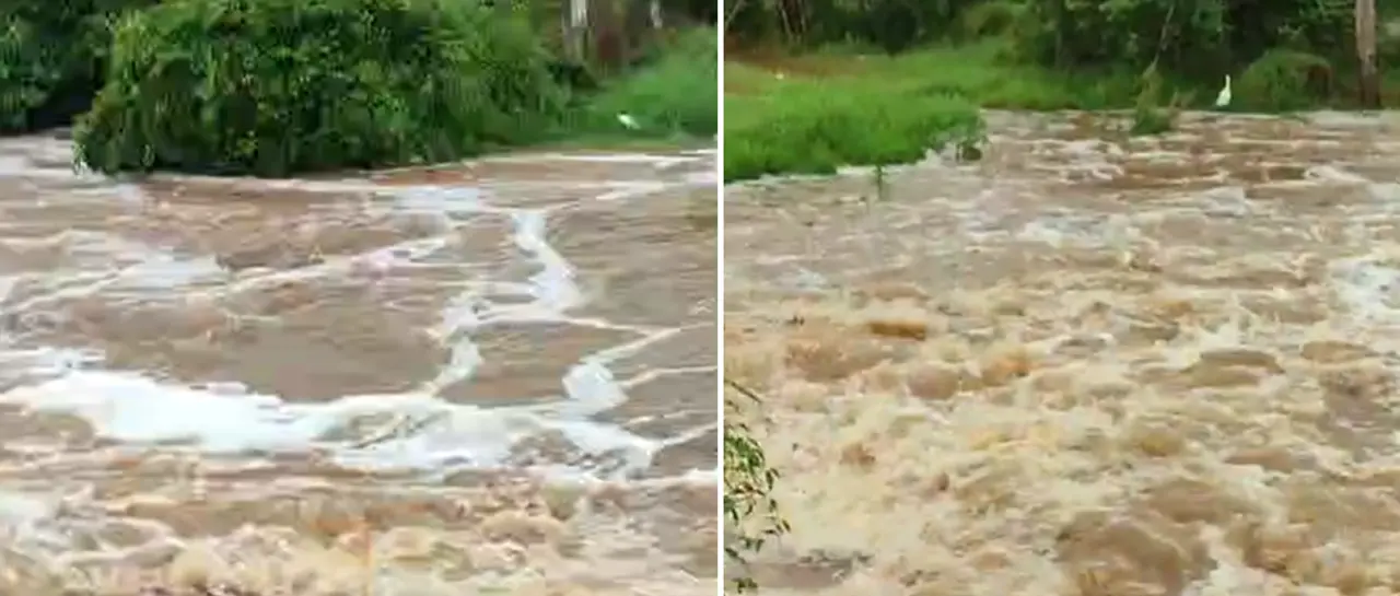 $output.data $output.data