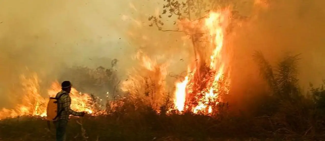 Alerta amarilla en Santa Cruz: Reportan siete incendios forestales activos y 609 focos de calor