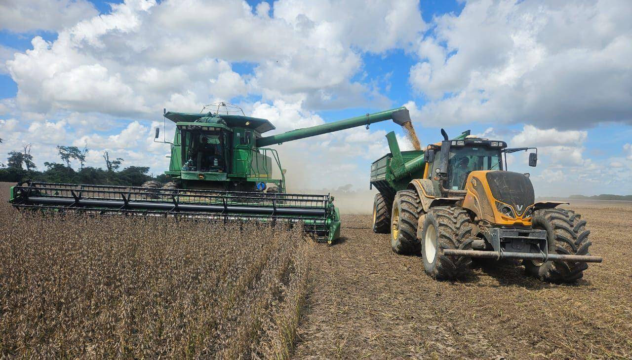 Productores de oleaginosas señalan que el 40% de sus unidades de transporte está afectado por falta de diésel