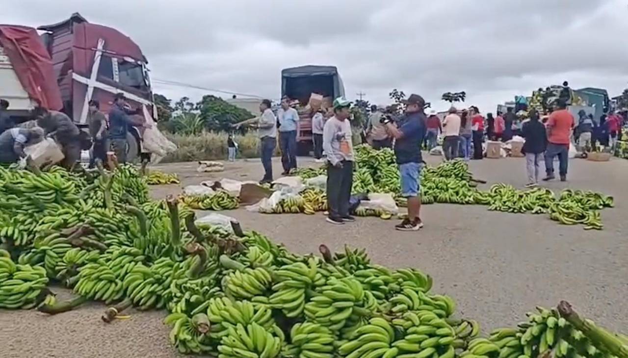 “Ya no damos confianza”: Argentina sustituye banana boliviana por fruta de Ecuador y Paraguay, lamenta productor