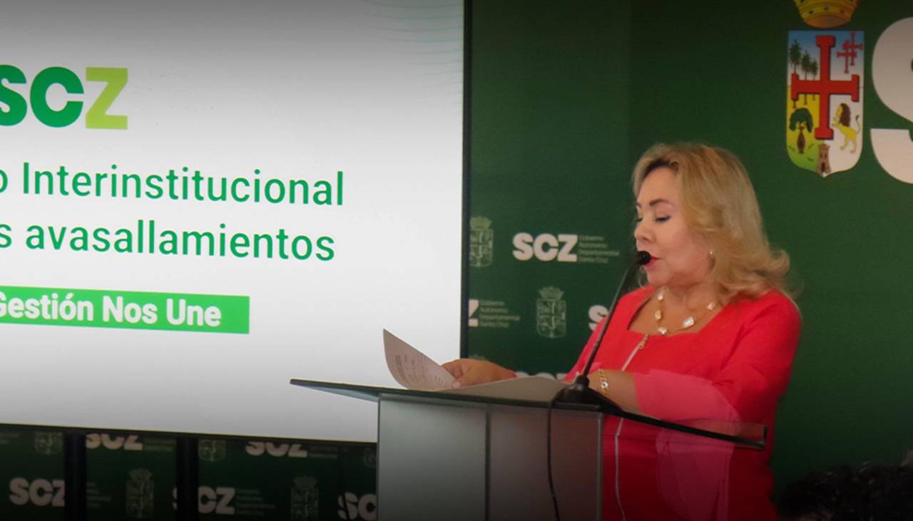 TSJ propone un plan de acciones conjuntas contra los avasallamientos