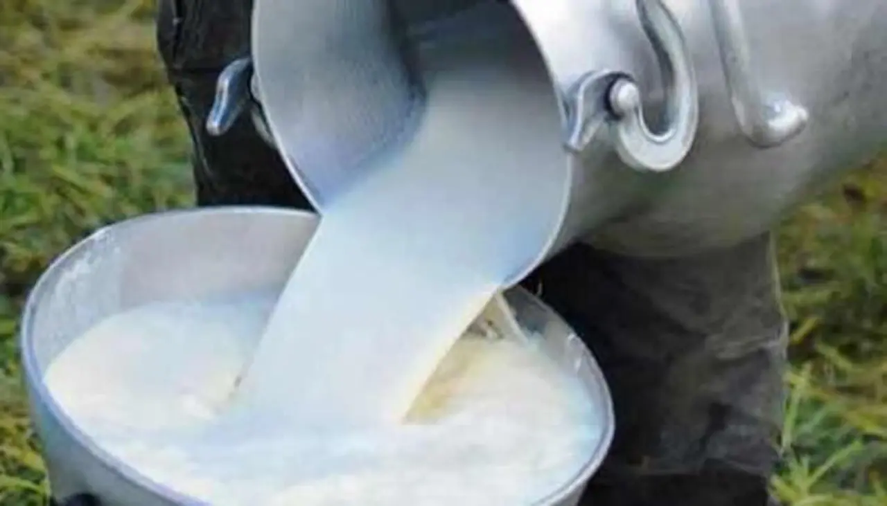 Fedeple dice que si en ocho días no se soluciona abastecimiento de diésel, cerrará la planta que abastece el 78% de leche a la industria