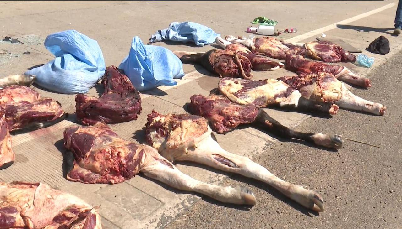 Abigeato: Fegasacruz cree que aprehendidos participaron de otros hechos y que la carne estaba dirigida a dos mercados