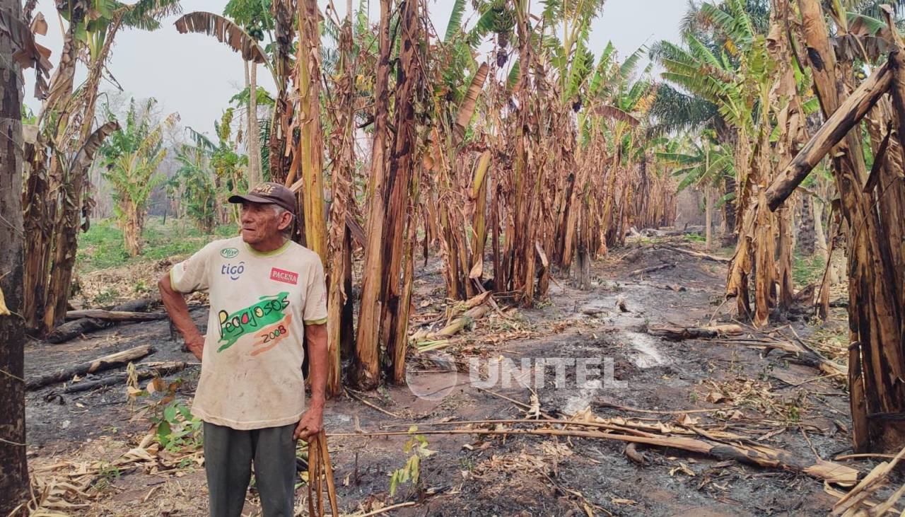 Suman voces que piden al Gobierno declarar desastre nacional por los incendios forestales