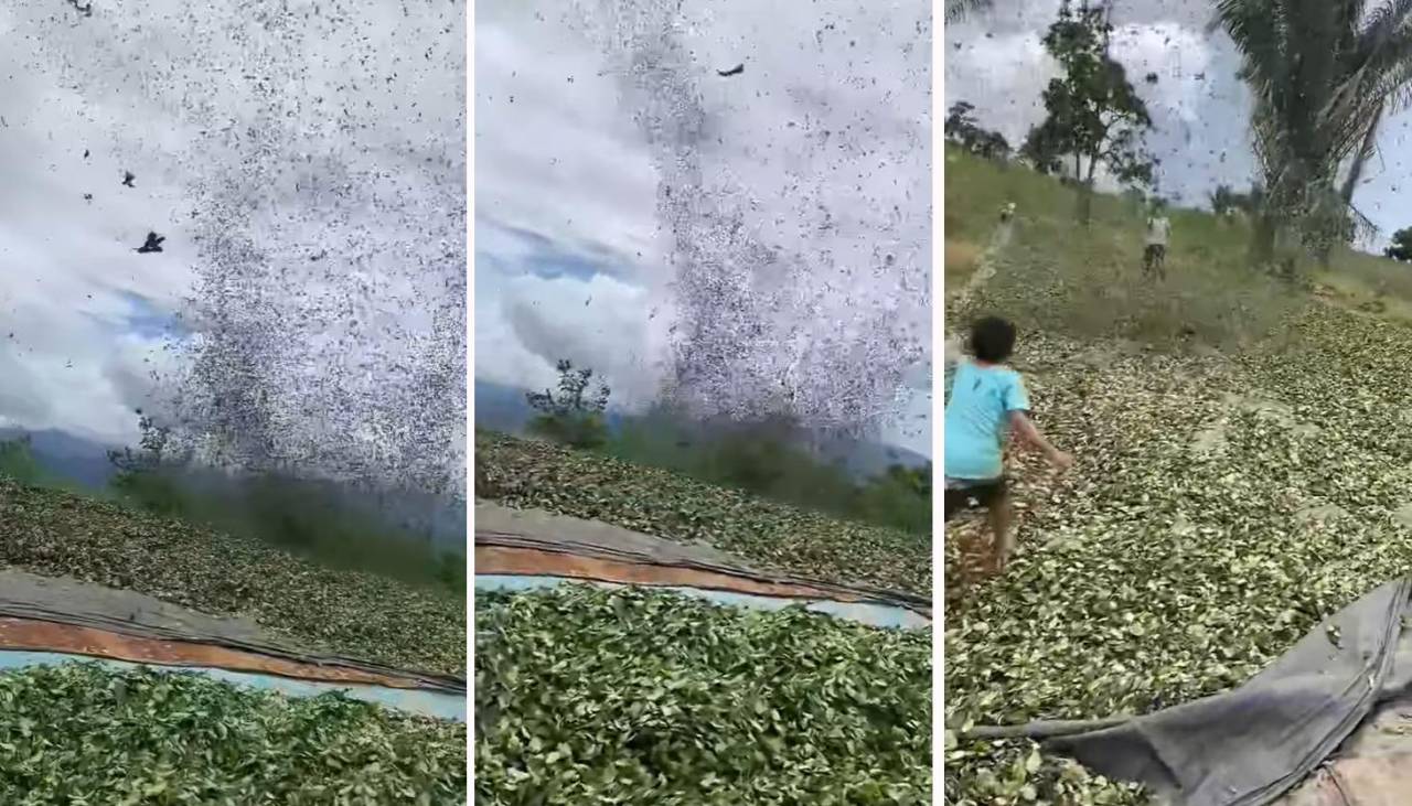 Video: Un sorpresivo remolino se lleva varias hojas de coca cuando secaban al sol