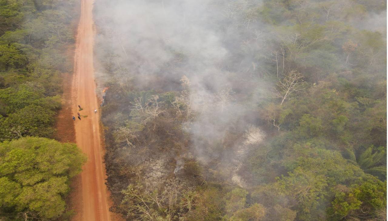 Tras 6,9 millones de hectáreas arrasadas por incendios, Luis Arce declaró desastre nacional