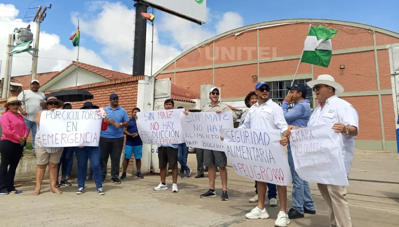 Porcicultores protestan ante nueva subida del grano de maíz que pasó de Bs 45 a Bs 155 el quintal