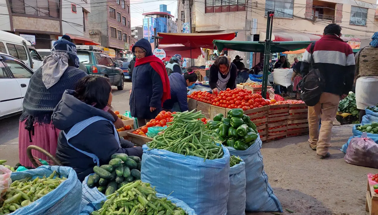 Tomate, pollo y verduras, este es su precio en mercados del eje central del país en puertas del feriado