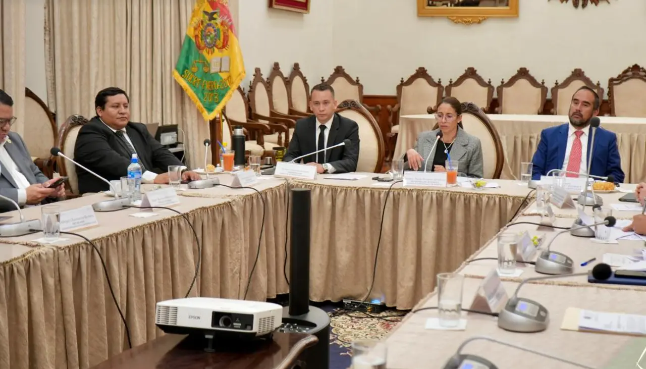 Consejo de la Magistratura dice que la CIDH visitará Bolivia para hacer seguimiento a los casos de 2019
