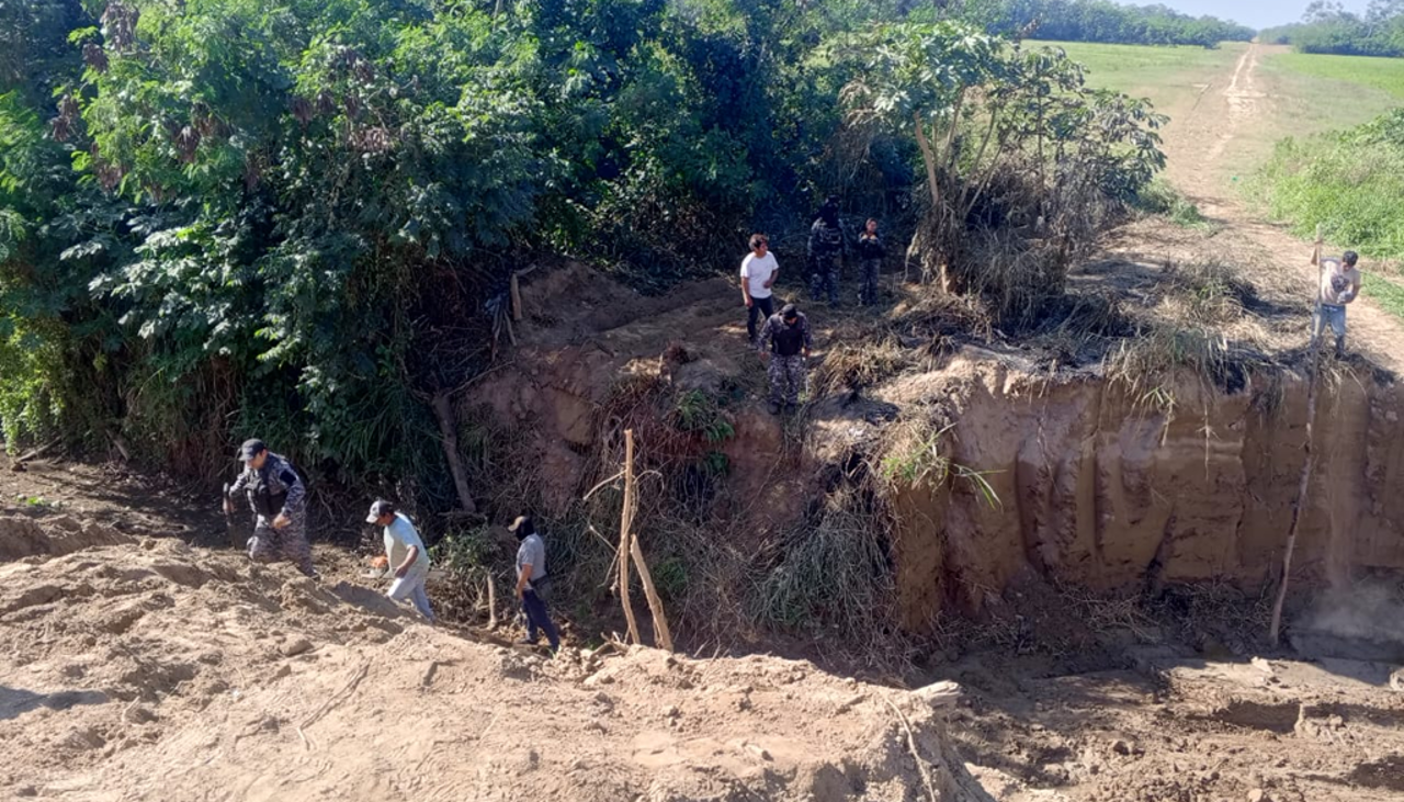 Diputada y analista ven complicidad del Gobierno con avasalladores que se campean en el norte cruceño