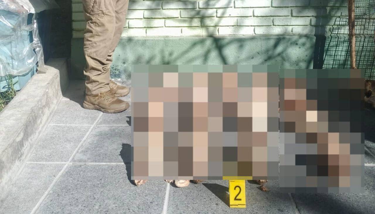 Hallan 25 cráneos en un basurero y se investiga si son de perros