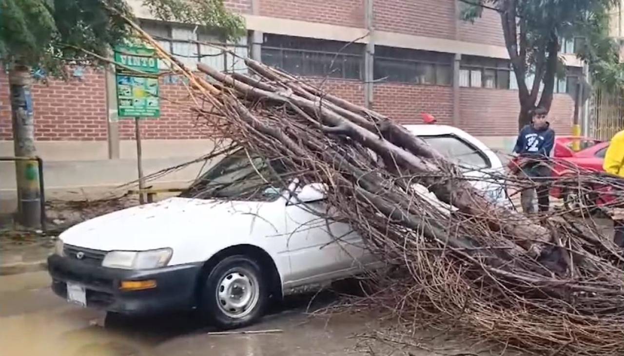 Hombre resulta herido luego que un árbol cayera sobre su vehículo cuando esperaba en el semáforo