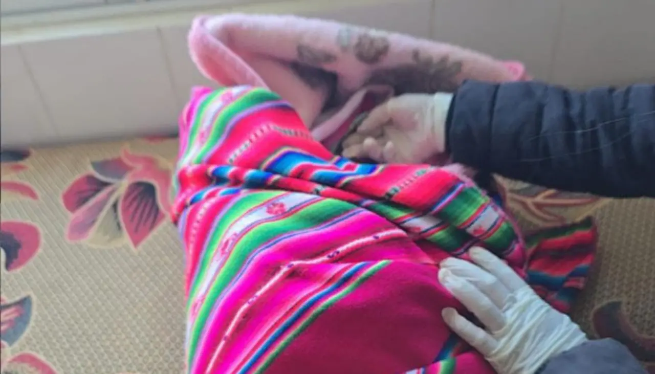 Abandonan a una bebé de 10 horas de nacida cerca de la carretera en Viacha