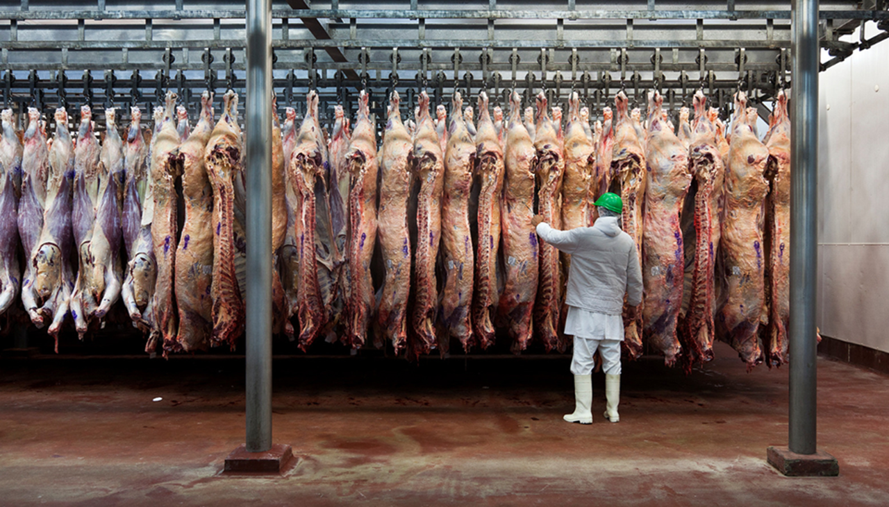 Veto a exportación de carne: Caneb se declara en emergencia y señala que el Gobierno no corrige falta de dólares y de combustible