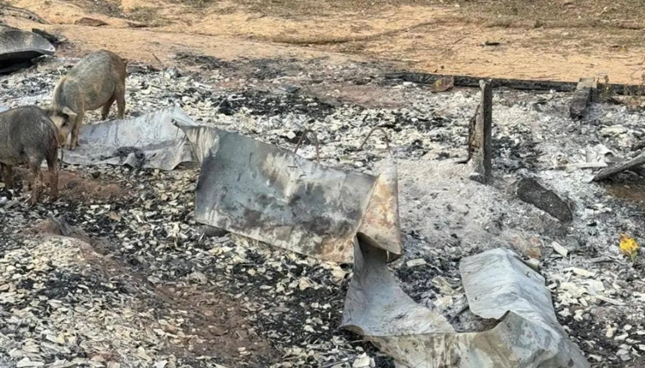 Pando: Hallan un cuerpo y dos columnas vertebrales tras incendio en una choza cerca de la frontera con Brasil