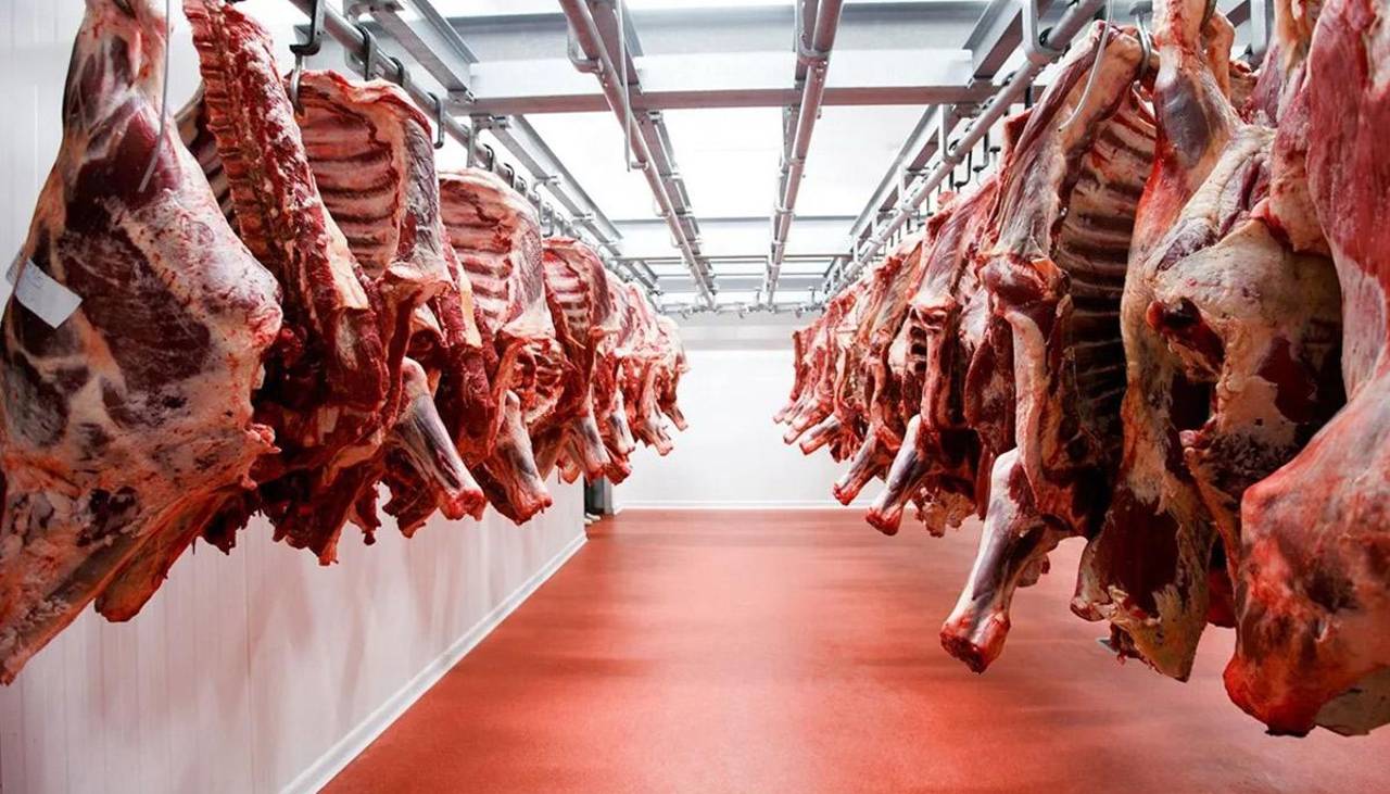 Paz critica a intermediarios: “No puede ser que digan que la carne sube porque se va a Egipto’”