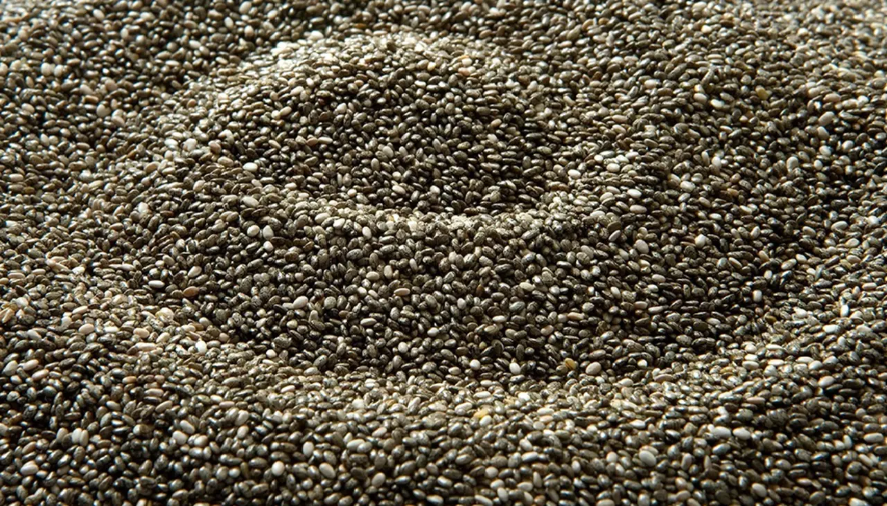 Anapo: Siembra de chía sube a 13.000 hectáreas ante la apertura del mercado chino