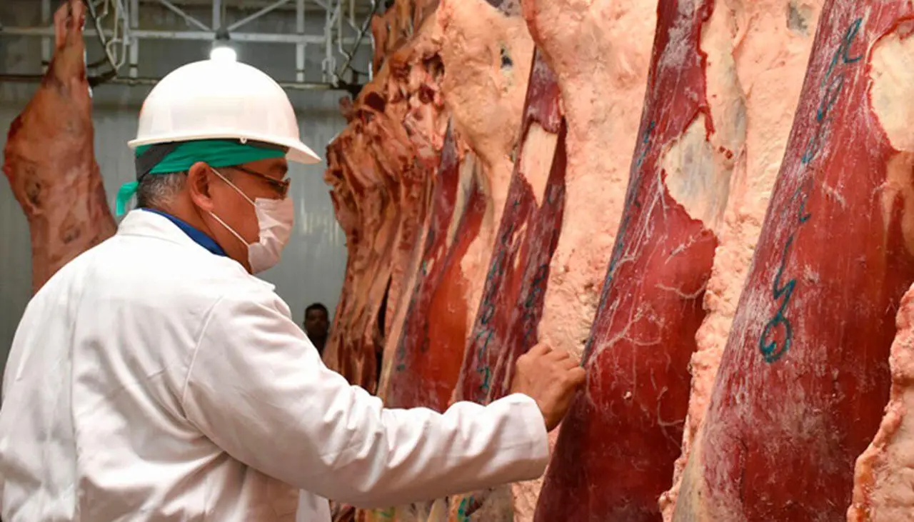 Nuevo mercado de exportación: Egipto abre sus puertas a la carne boliviana