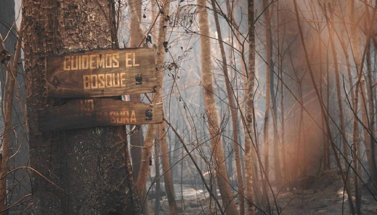 Piden a la Fiscalía investigar a los ministerios de Medio Ambiente y de Desarrollo Rural por los incendios forestales