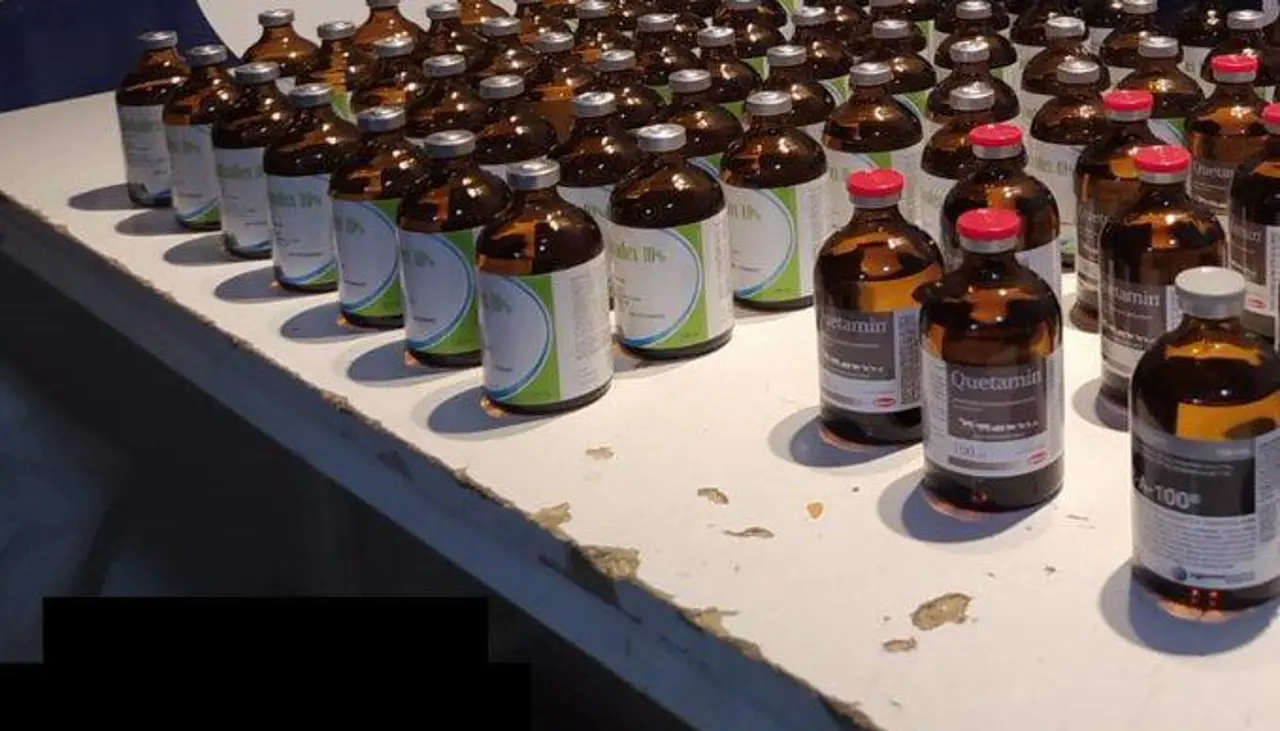 Chile envía a un boliviano a la cárcel con detención preventiva por tráfico de drogas