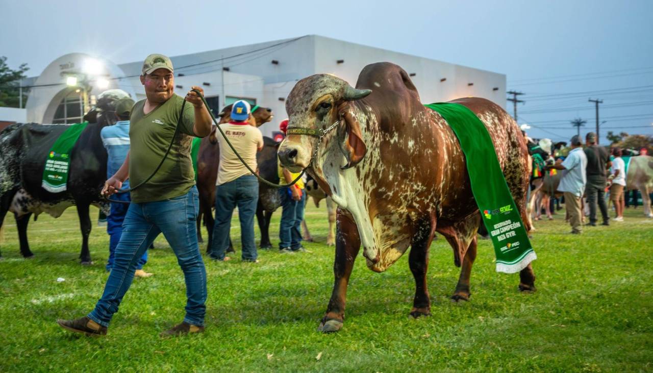 Al menos cinco países compraron genética bovina boliviana, reporta el sector pecuario