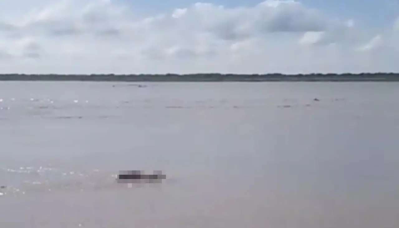 “Pensé que era un tronco”, un pescador halló a un hombre sin vida flotando en un río en Puerto Paila
