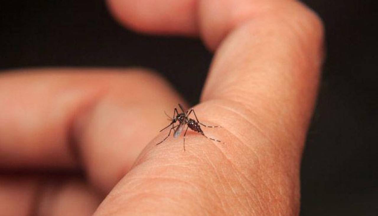 Sedes declara emergencia sanitaria por dengue y chikungunya en Beni