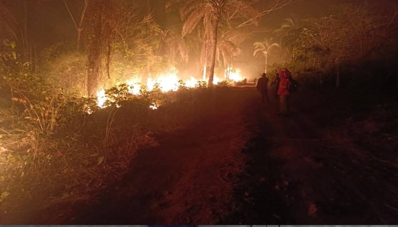 Diputada exige la declaratoria de desastre departamental y nacional ante incremento de incendios forestales