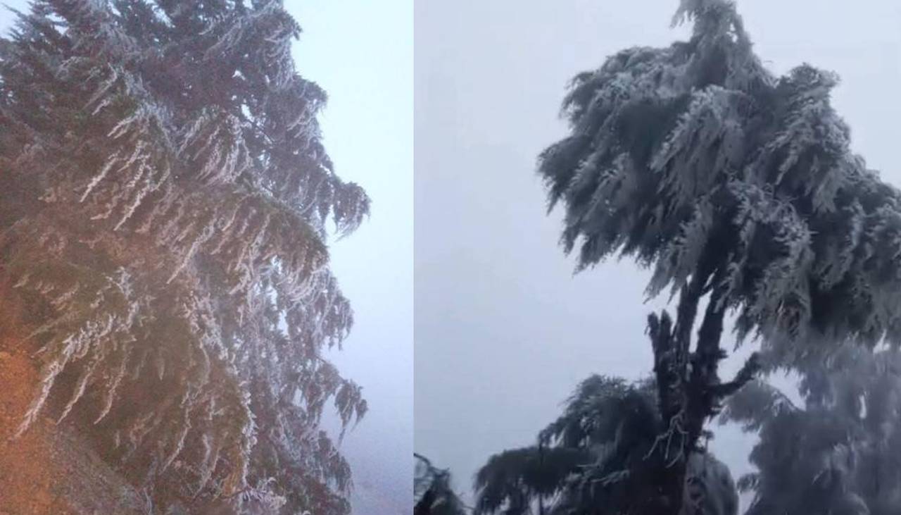 Debido al intenso frío, reportan las primeras nevadas y heladas en el país