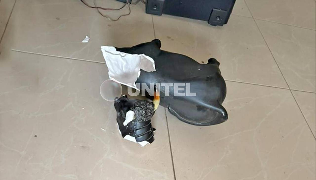 Adolescente se esconde en el baño mientras ladrones robaban Bs 14.000 que eran para su fiesta de 15 Años