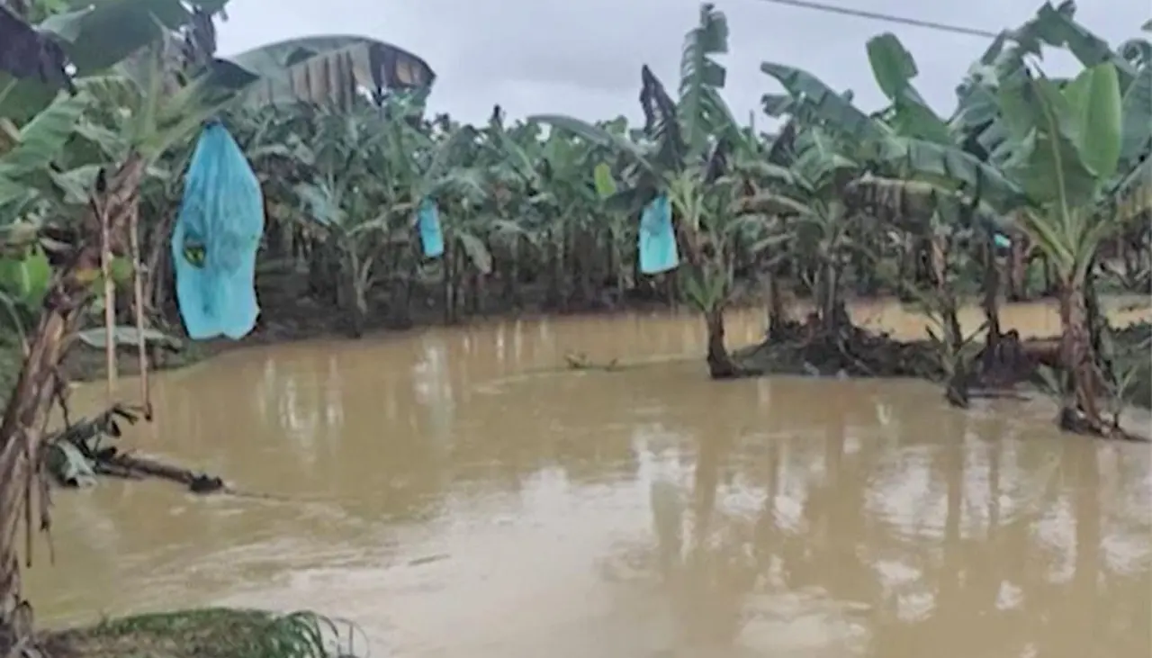 Nuevo desborde del río Sajta anega cultivos del trópico y alerta hidrológica persiste para Cochabamba