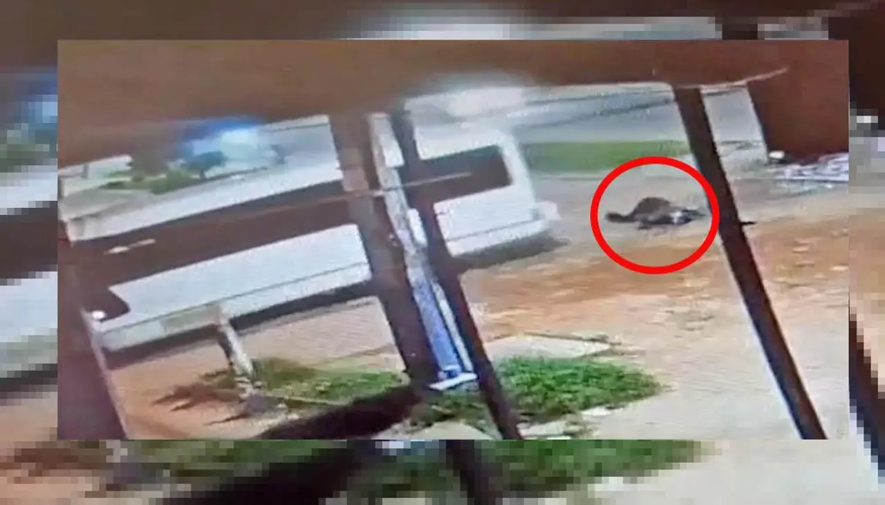 Sale a la luz video del momento en el que un micro arrolla a un motociclista que luego fallece