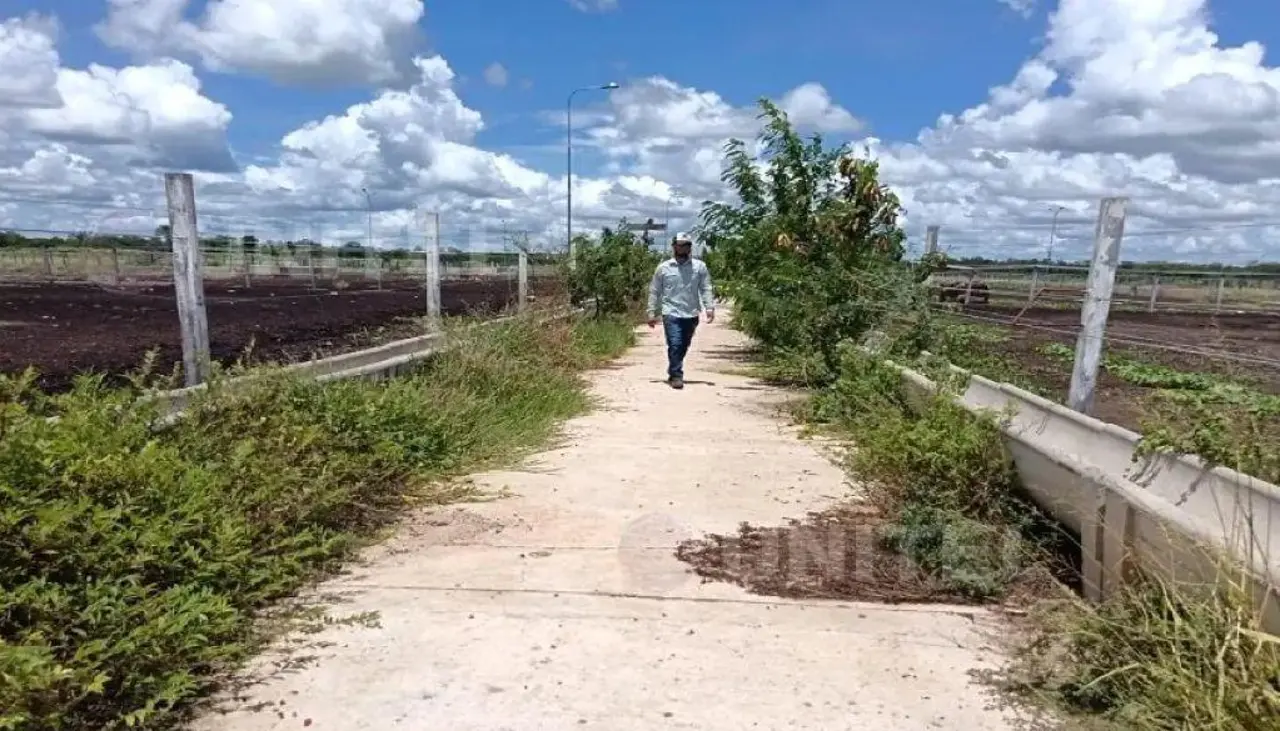 Informe: Centro de confinamiento de Santa Cruz no tiene ni una cabeza de ganado y se sembró soya que se seca 