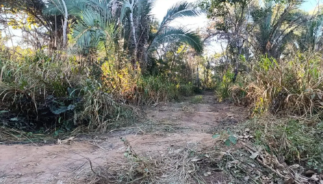 Reportan nuevo avasallamiento en el Bajo Paraguá y diputada pide respuestas del INRA y la Fiscalía