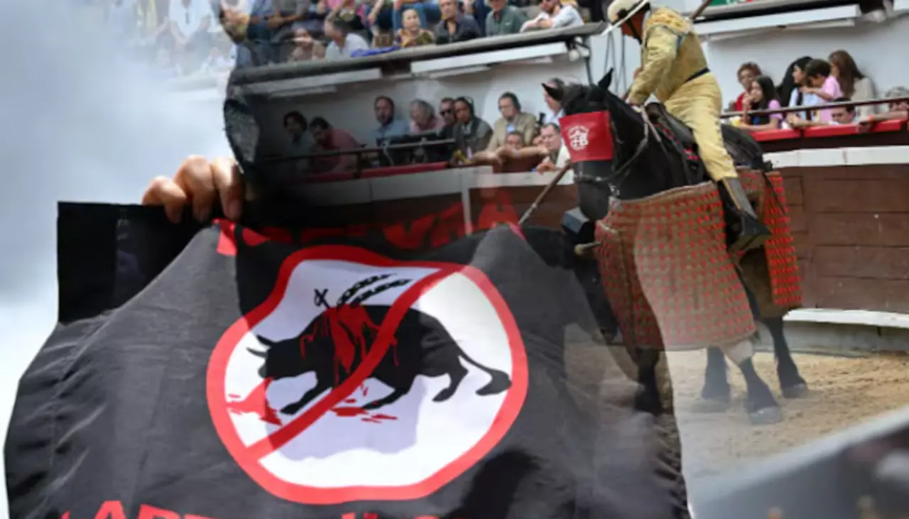 Corte colombiana avala ley que prohíbe corridas de toros, peleas de gallos y cabalgatas