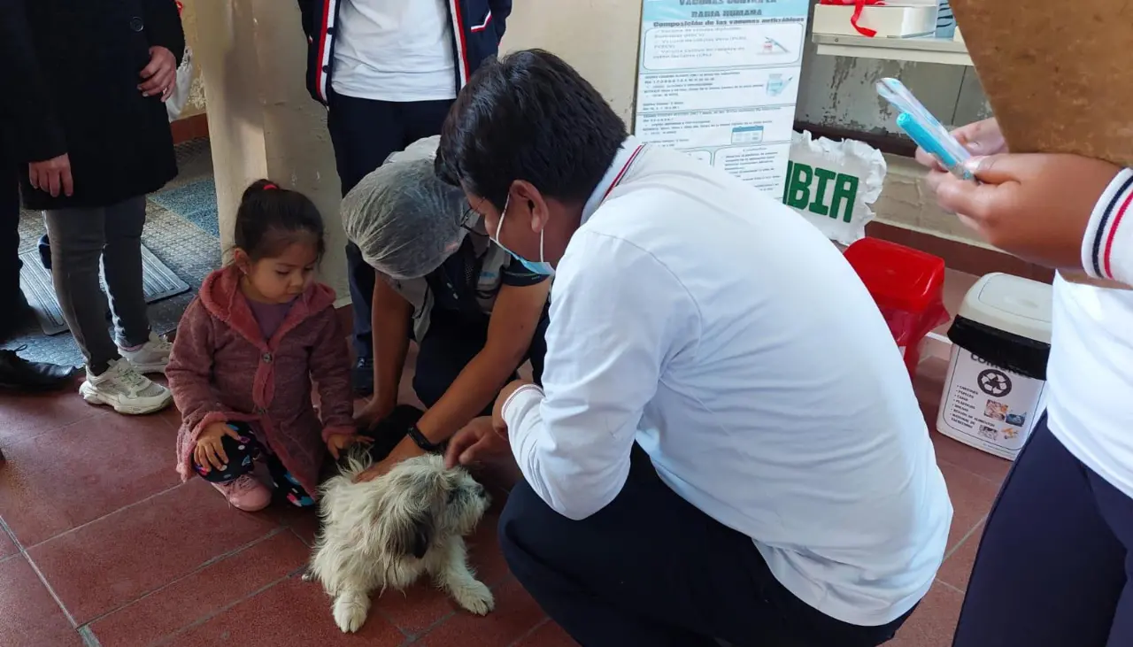 Cochabamba se prepara para la vacunación antirrábica masiva este 22 y 23 de noviembre