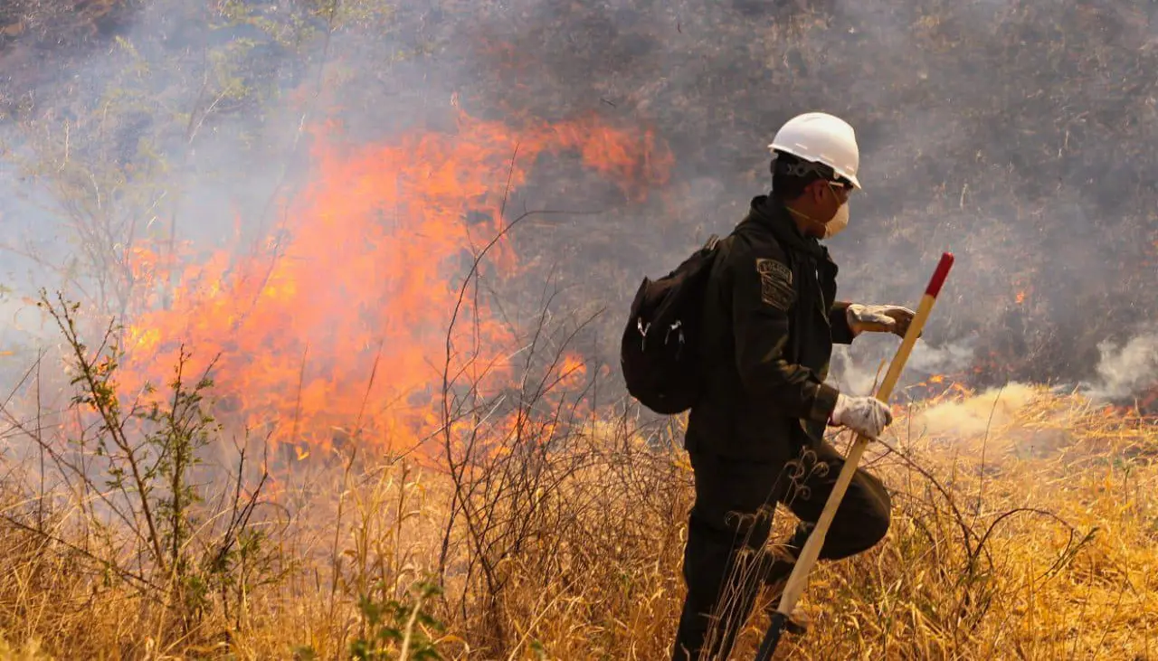 Hay cuatro incendios activos en Santa Cruz y ministro advierte que el fuego es provocado