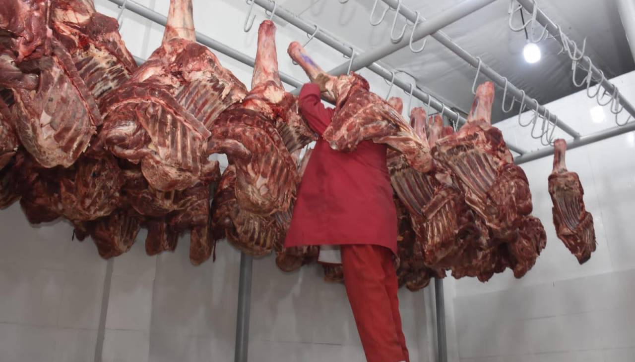 Ganaderos rechazan que el Gobierno y carniceros fijen sin consenso una banda de precios para la carne de res