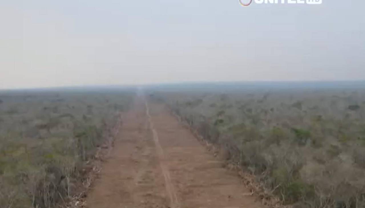 Consejo Forestal cuestiona que tras más de un año de avasallamiento no se logre liberar predio en San Miguel de Velasco