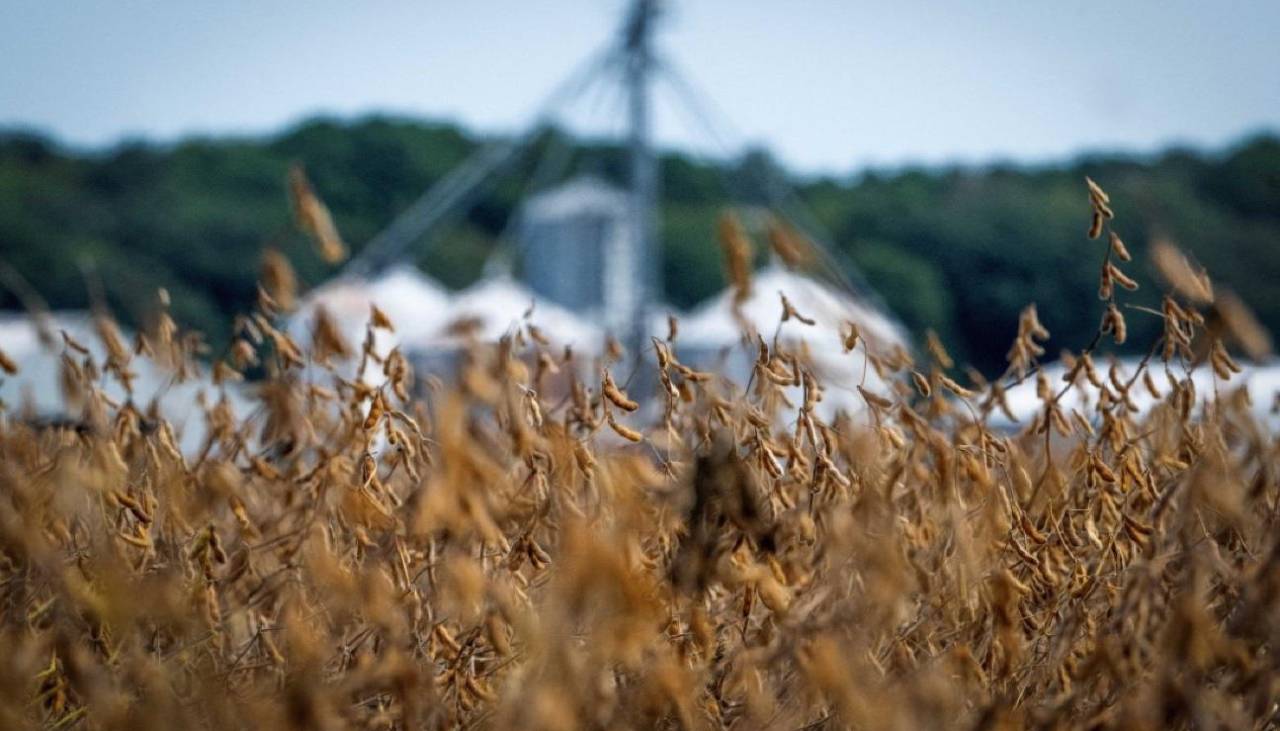 Exportaciones: Soya y derivados superaron al gas en más de $us 100 millones entre enero y septiembre, según el INE