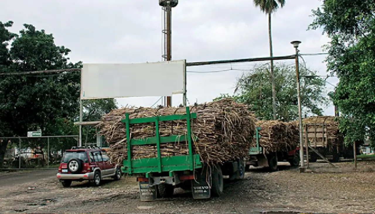 Según cañeros, el Gobierno empezó a desembolsar pagos adeudos por etanol